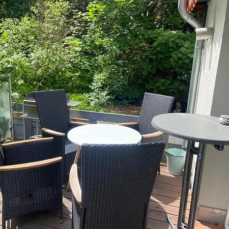 Black Beauty * 韦尼格罗德