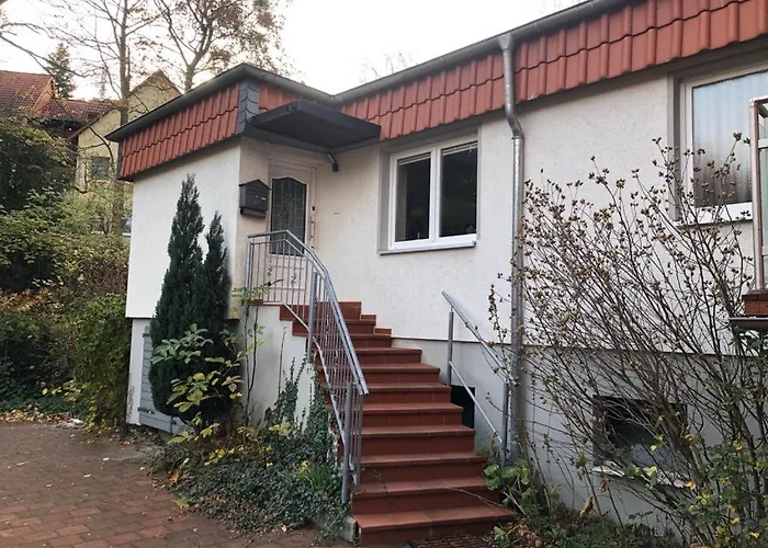 Black Beauty 韦尼格罗德