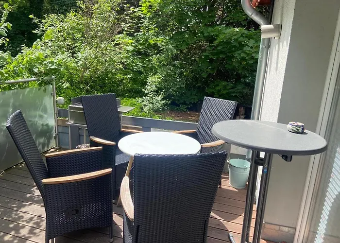 Black Beauty * 韦尼格罗德